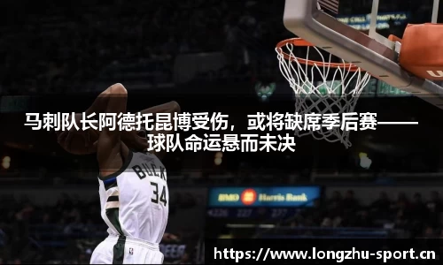 龙珠体育