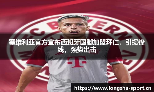龙珠体育