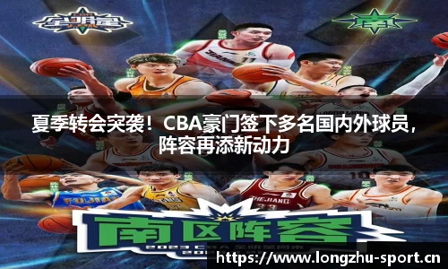 龙珠体育