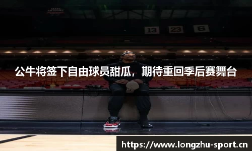 公牛将签下自由球员甜瓜，期待重回季后赛舞台