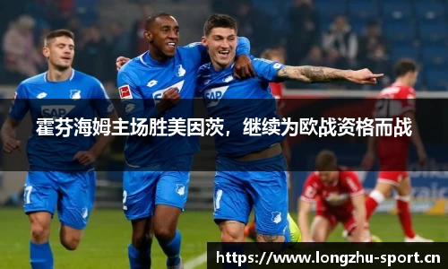 龙珠体育