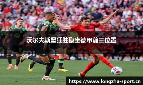 龙珠体育官方网站