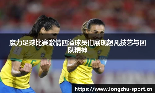 龙珠体育官方网站