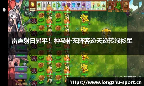 龙珠体育平台