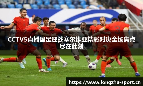 龙珠体育平台