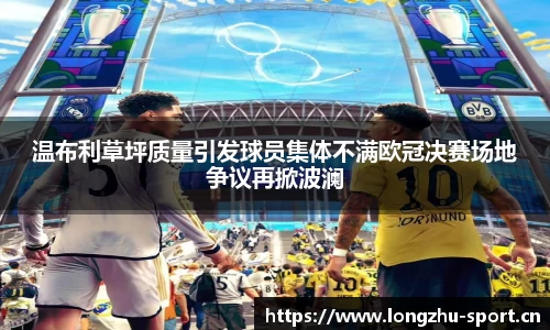 龙珠体育官方网站