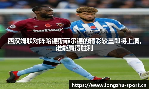 龙珠体育官网