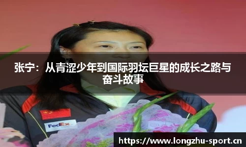 龙珠体育官网