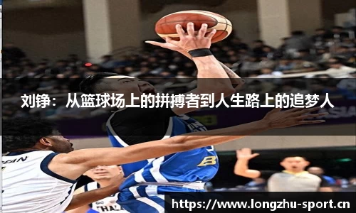 龙珠体育