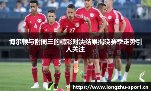 龙珠体育官网